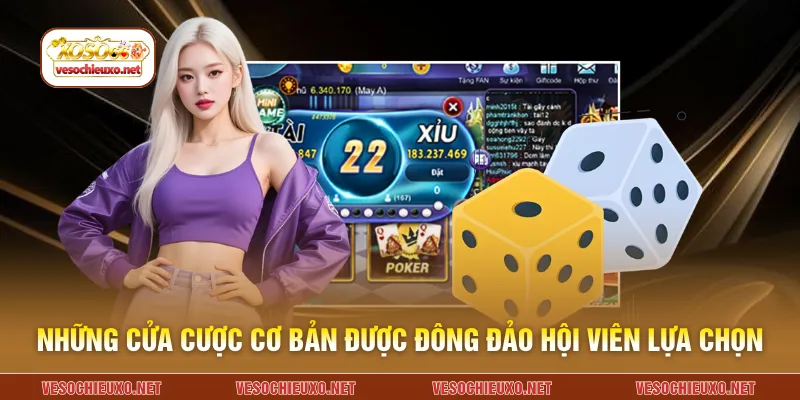 Những cửa cơ bản được đông đảo hội viên lựa chọn